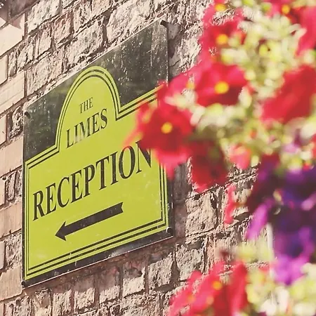 招待所 莱姆士酒店 4*